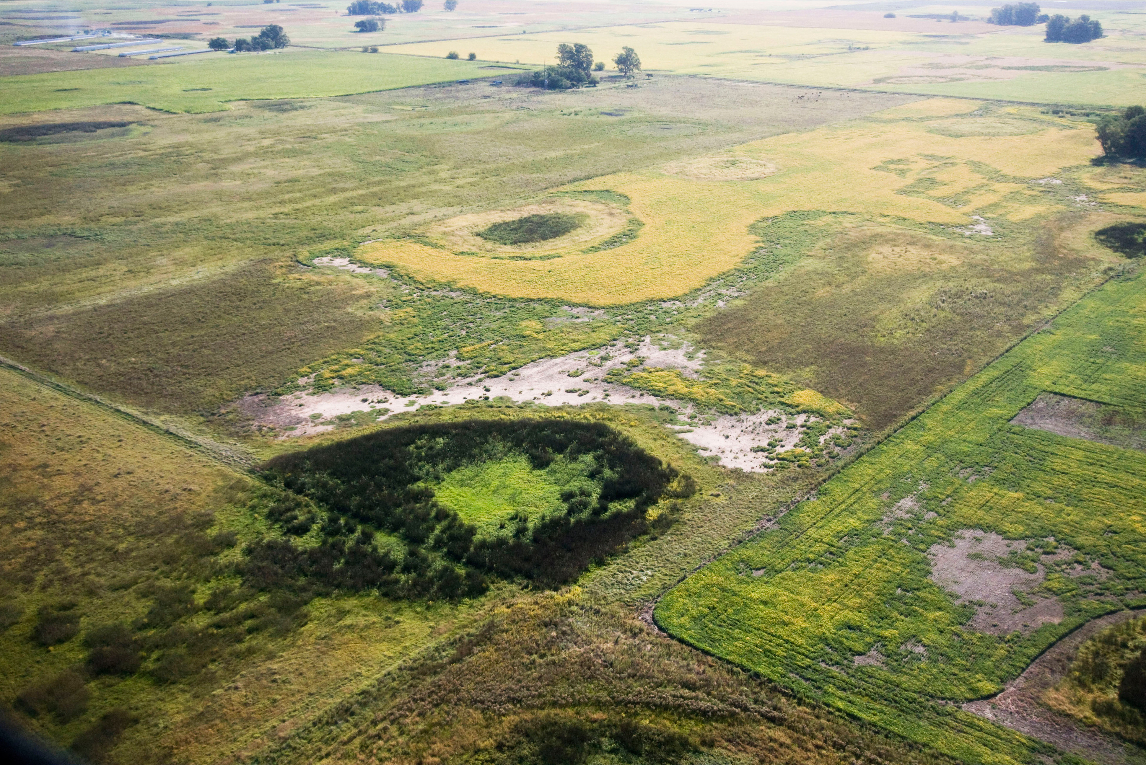 Cazón Aérea